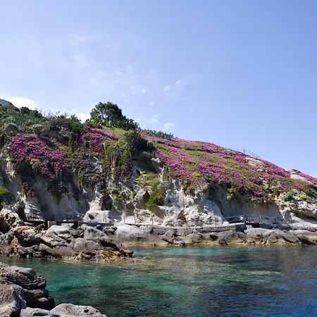 Hotel Gallo Nero SantʼAndrea