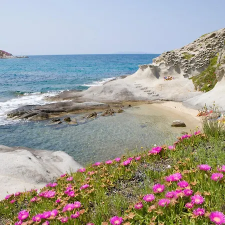 Hotel Gallo Nero SantʼAndrea