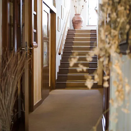 Hotel Gallo Nero SantʼAndrea