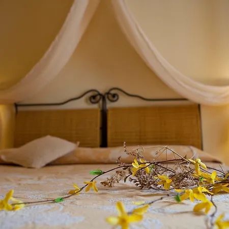 Hotel Gallo Nero 3*
