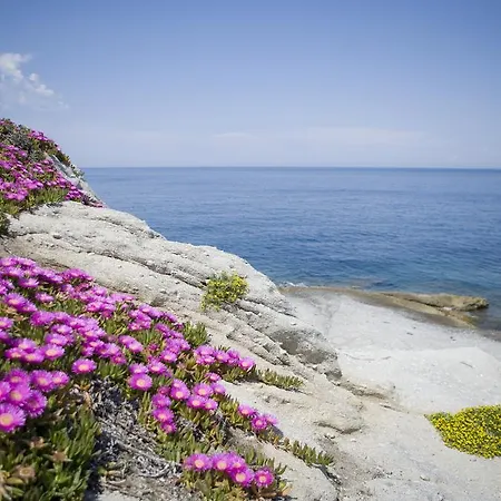 Gallo Nero 3* SantʼAndrea