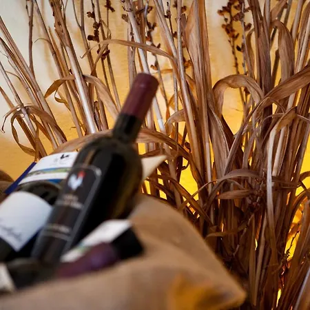 Gallo Nero Hotel SantʼAndrea