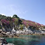 Hotel Gallo Nero SantʼAndrea