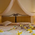 Hotel Gallo Nero 3*