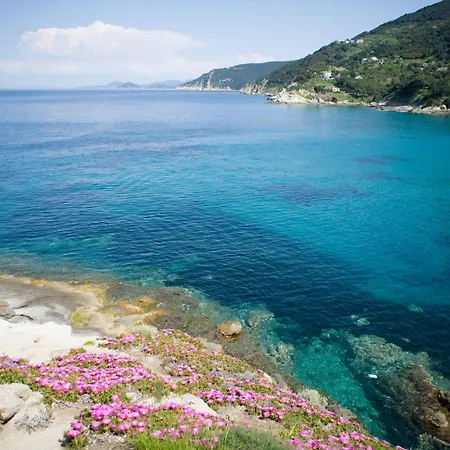 Hotell Gallo Nero 3*