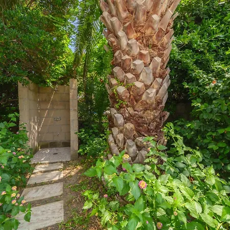 酒店 加罗奈罗酒店 3*