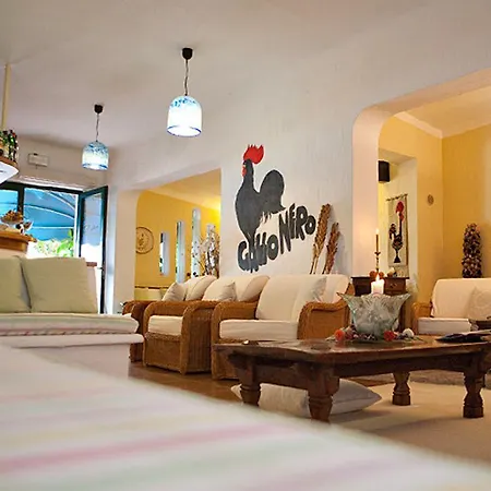 Gallo Nero 3* SantʼAndrea