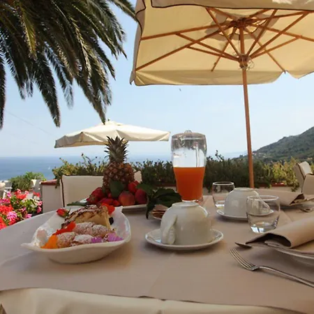 Hotell Gallo Nero 3*