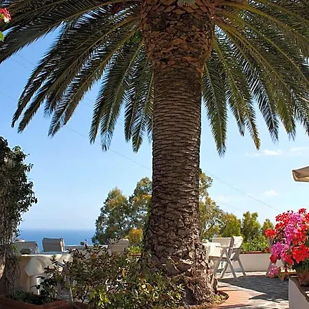 فندق Gallo Nero 3*