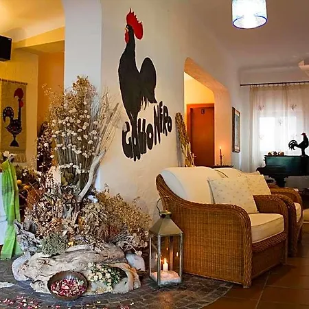 Hotell Gallo Nero