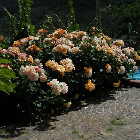 Gallo Nero 3* SantʼAndrea