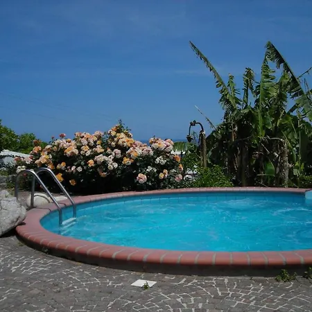 Gallo Nero Hotel Sant'Andrea