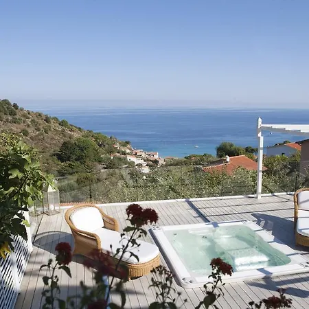 Gallo Nero Sant'Andrea (Isola d'Elba)