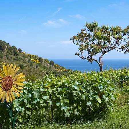 Gallo Nero Hotel Sant'Andrea (Isola d'Elba)