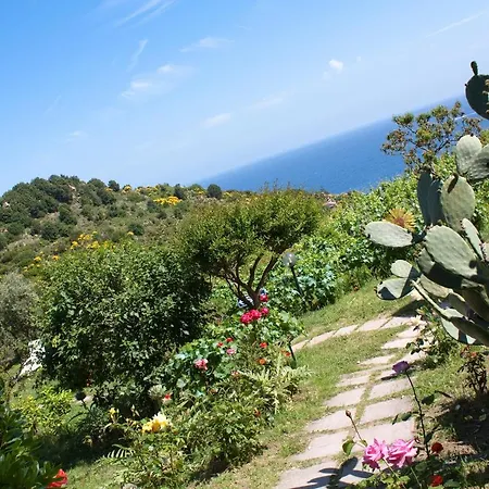 Gallo Nero Ξενοδοχείο SantʼAndrea