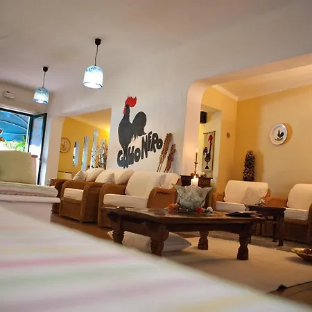 Hotel Gallo Nero Sant'Andrea (Isola d'Elba)