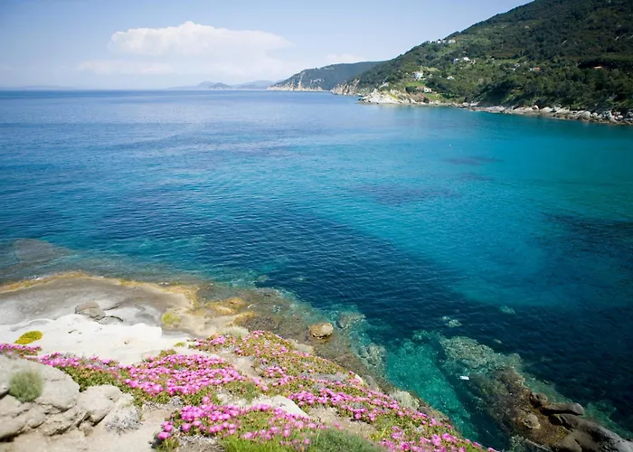 Hotell Gallo Nero 3*