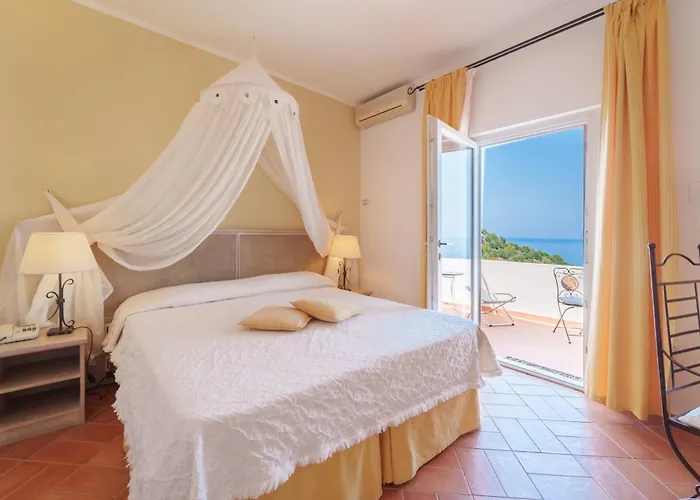 Gallo Nero SantʼAndrea