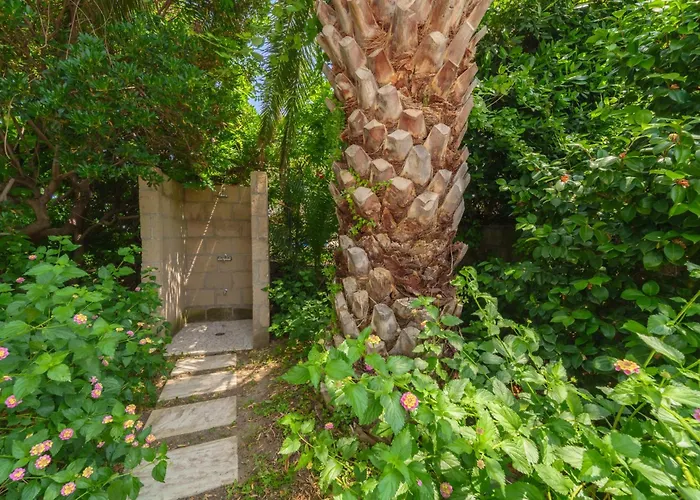 酒店 加罗奈罗酒店 3*