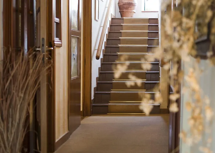 فندق Gallo Nero SantʼAndrea