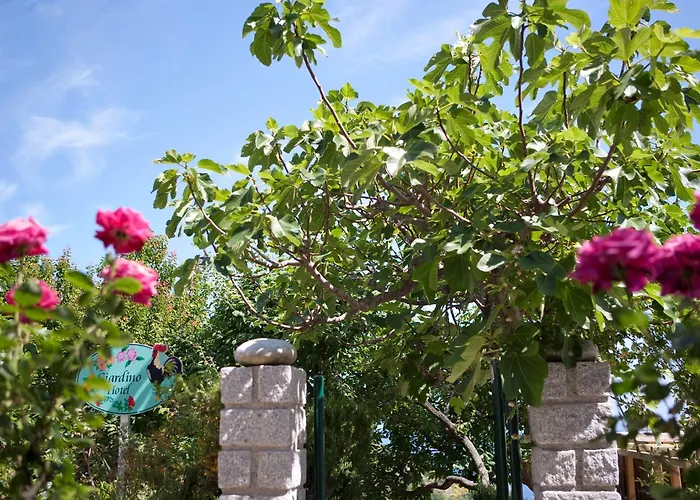 Gallo Nero SantʼAndrea