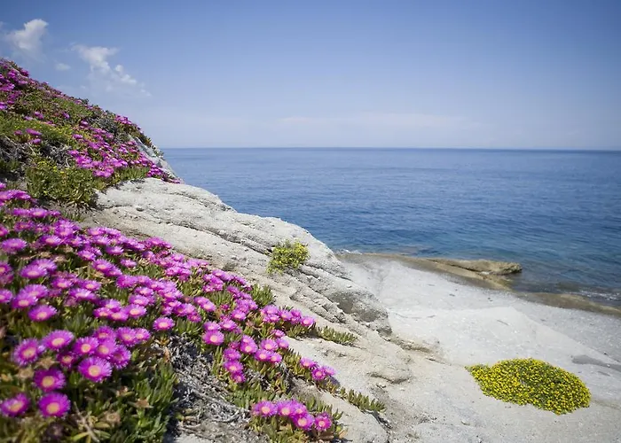 加罗奈罗酒店 3* SantʼAndrea