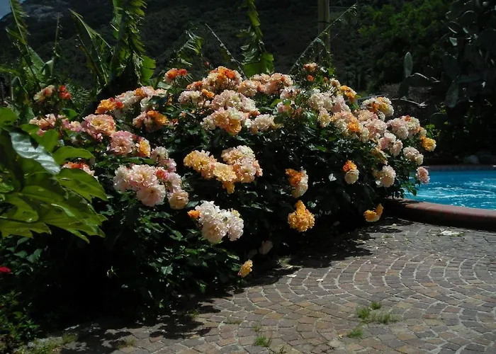 Gallo Nero 3* SantʼAndrea