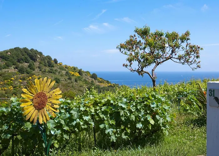 Gallo Nero Hotel SantʼAndrea
