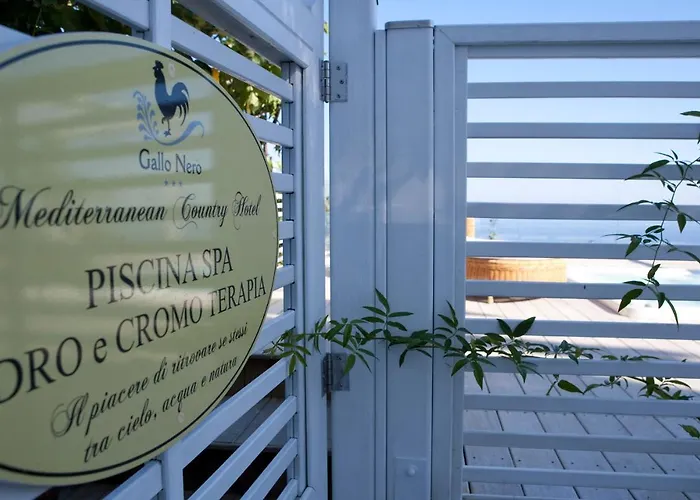 Gallo Nero Hotel SantʼAndrea