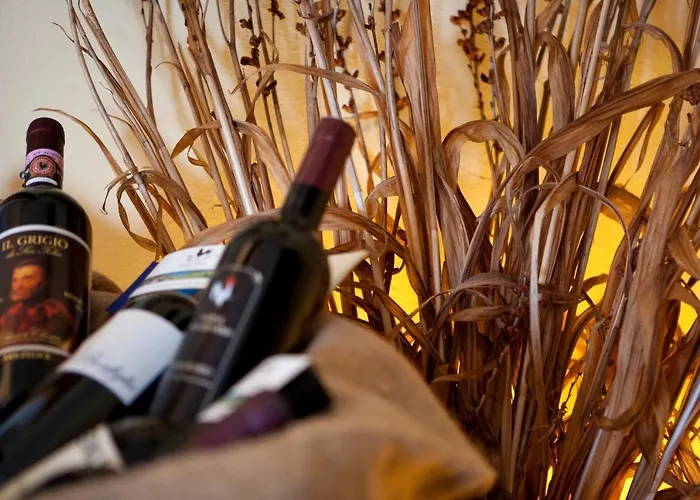 Gallo Nero فندق SantʼAndrea