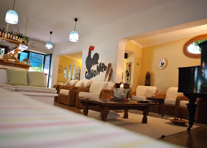 Hotel Gallo Nero SantʼAndrea