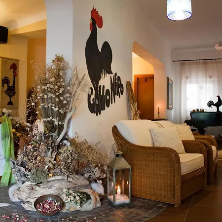 Gallo Nero