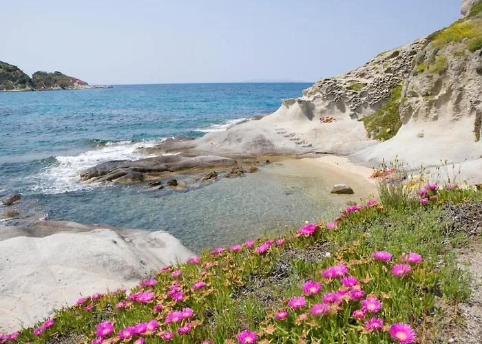 ホテル Gallo Nero SantʼAndrea