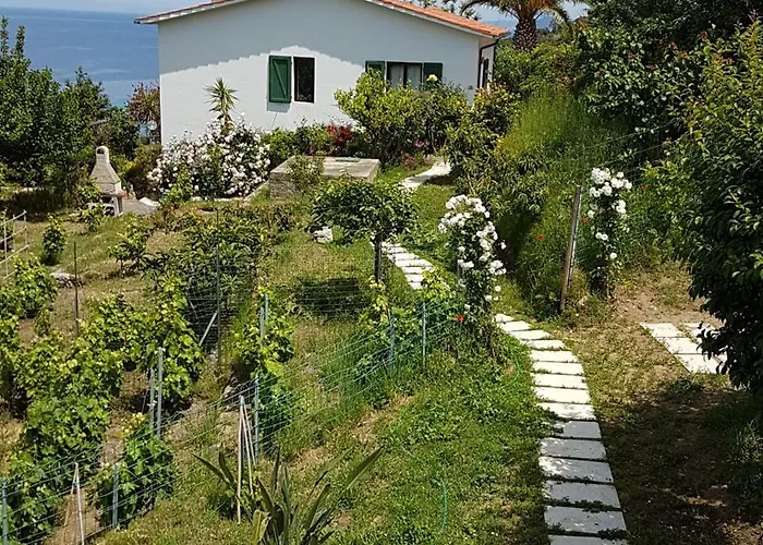 Gallo Nero 3* Сант-Андреа